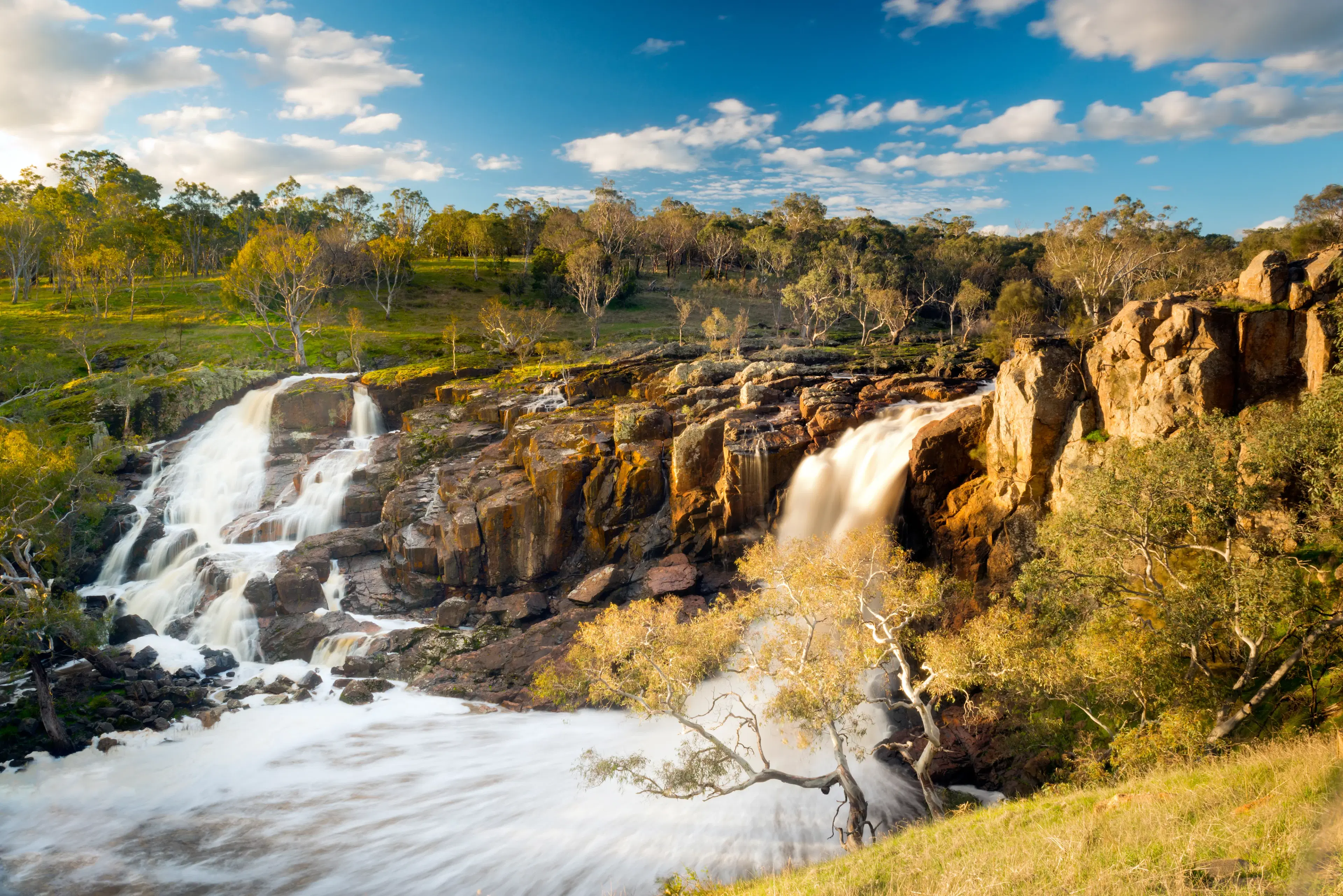Kakadu