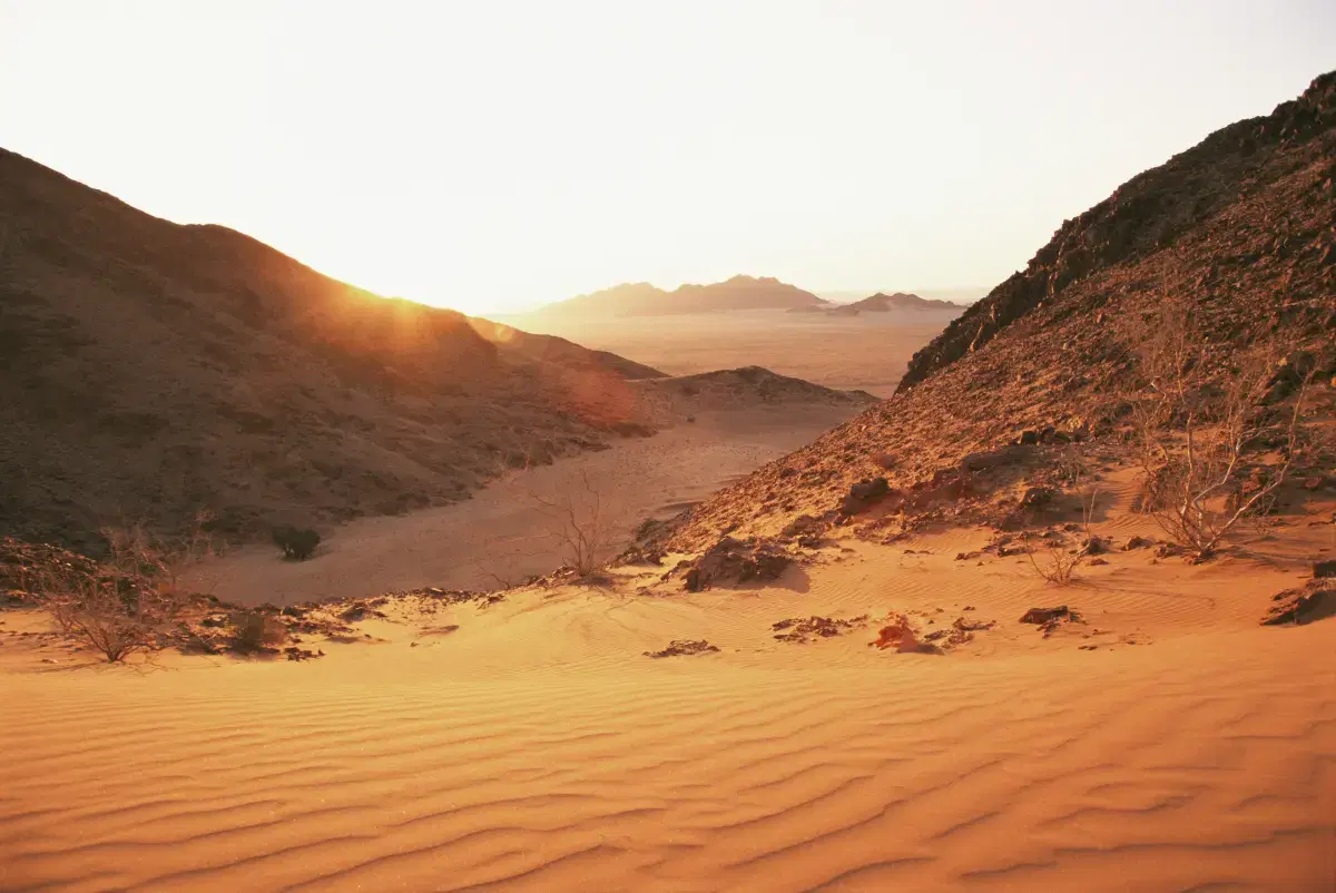 Wahiba Sands