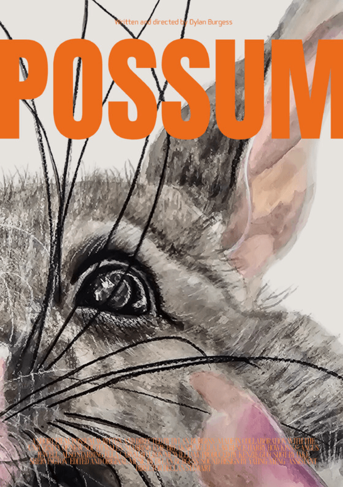 Possum poster