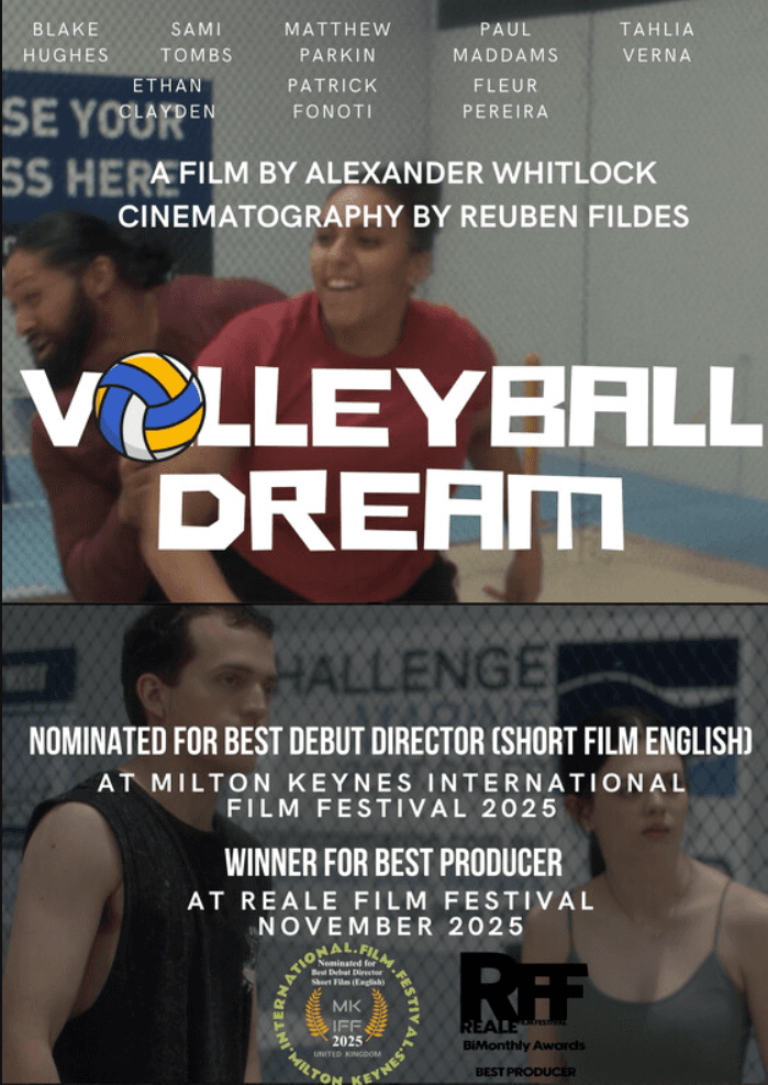 Volleyball Dream poster
